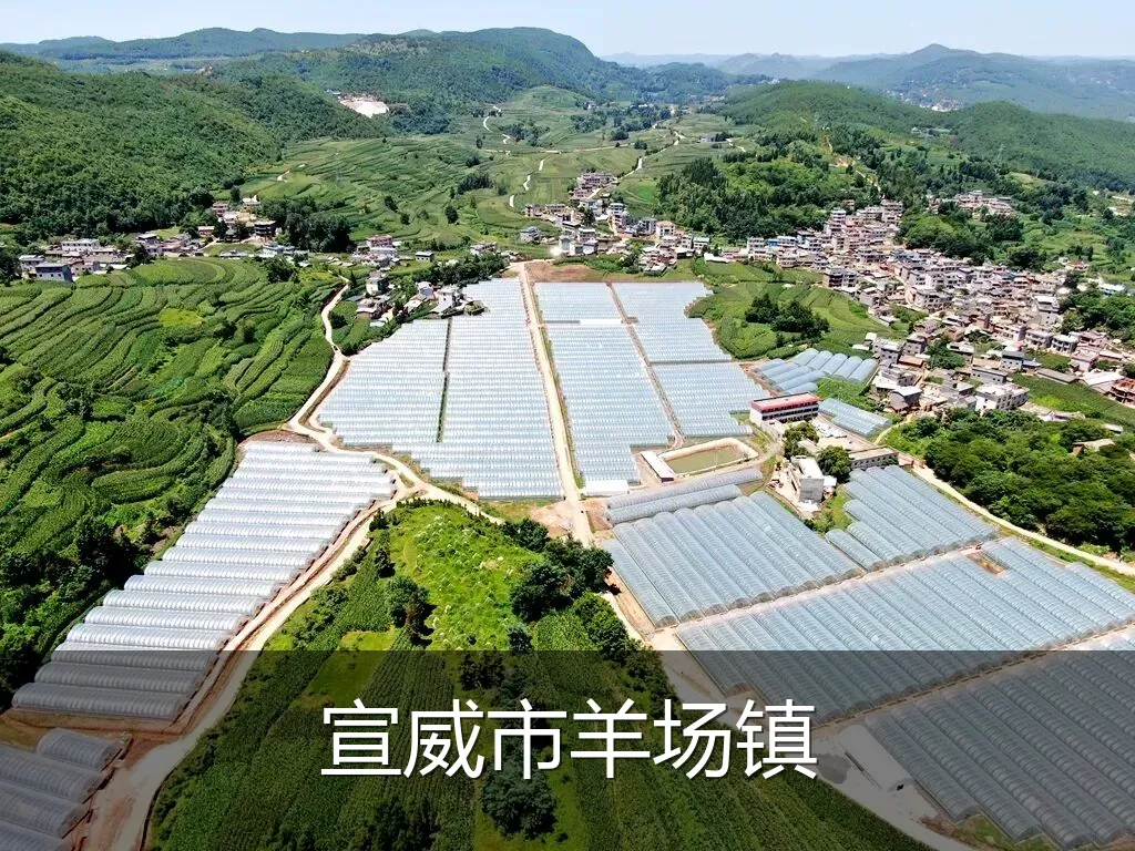 宣威市羊场镇