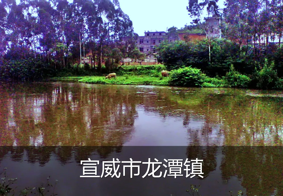 宣威市龙潭镇