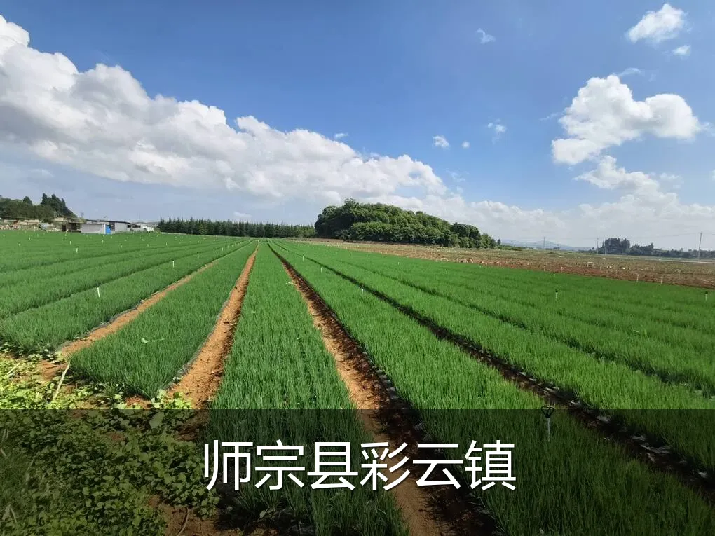 师宗县彩云镇