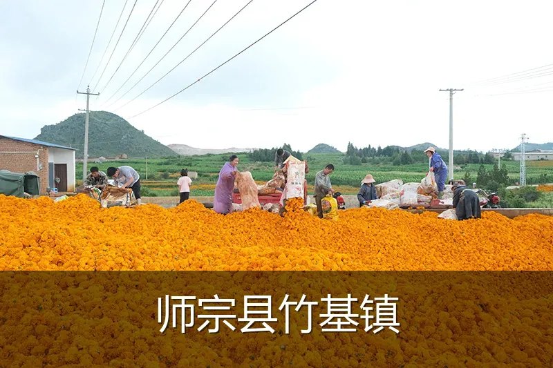 师宗县竹基镇