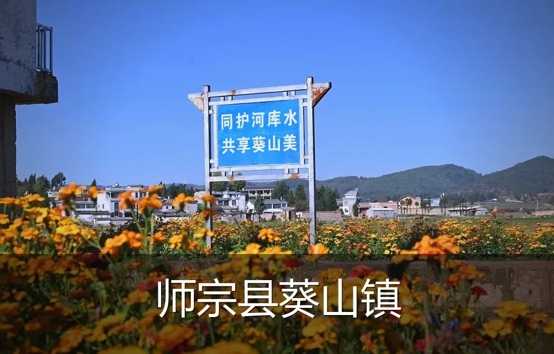 师宗县葵山镇