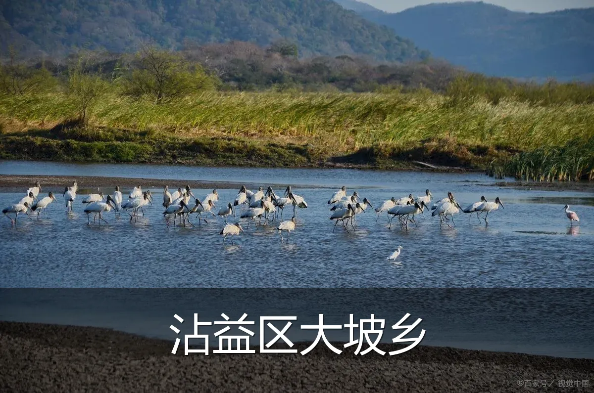 沾益区大坡乡