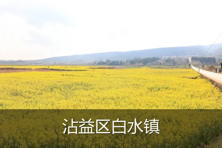 沾益区白水镇