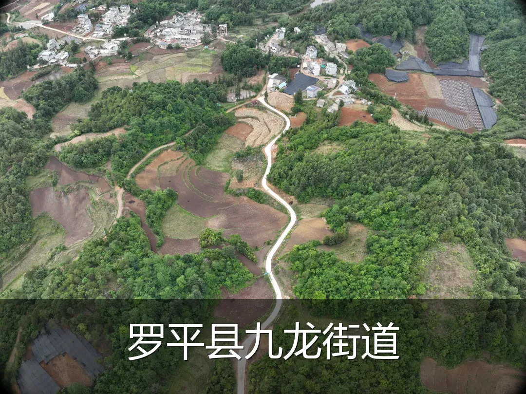 罗平县九龙街道