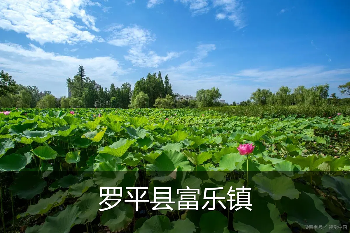 罗平县富乐镇
