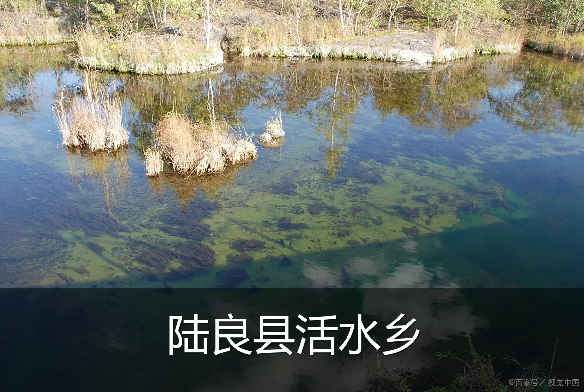 陆良县活水乡