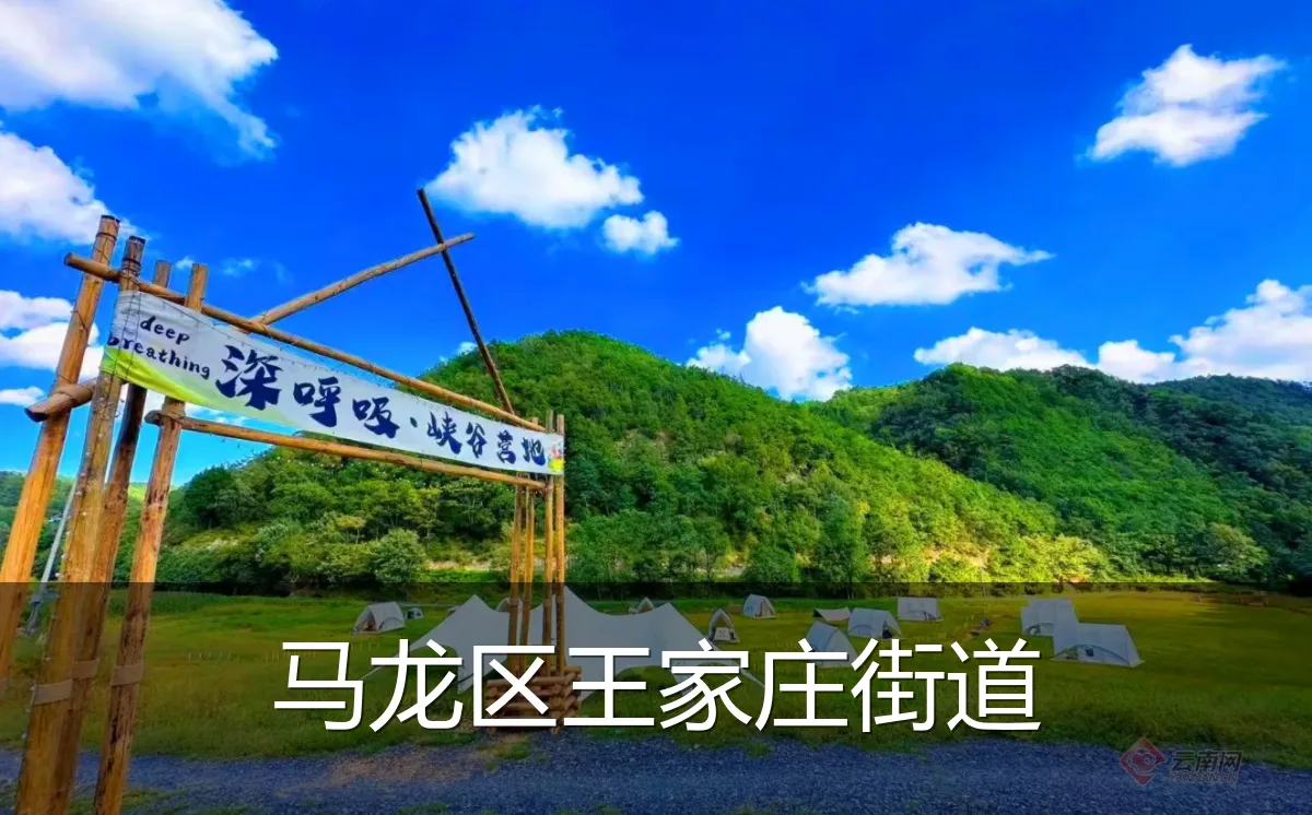 马龙区王家庄街道